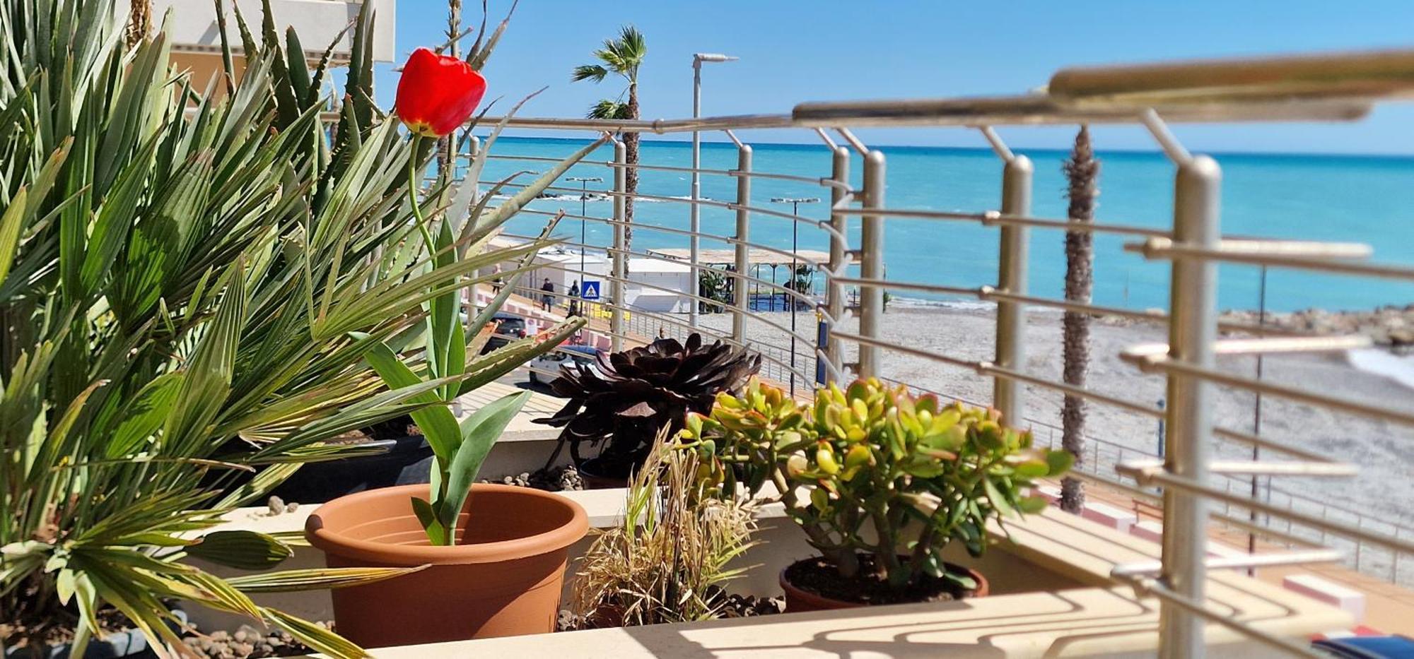 Mare Blu Leilighet Ventimiglia Eksteriør bilde